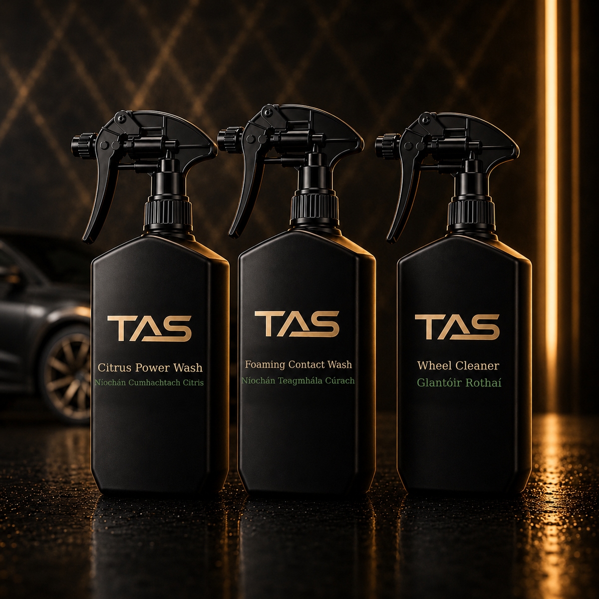 TAS Exterior Wash Kit with three 500 ml products